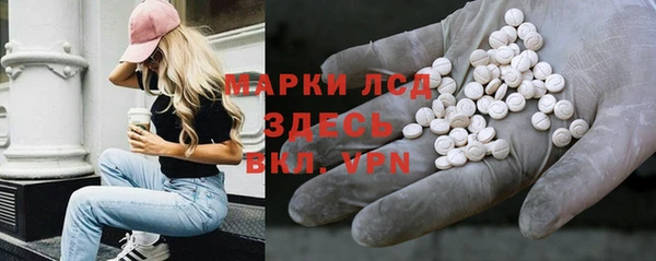apvp Магас