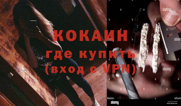 apvp Магас