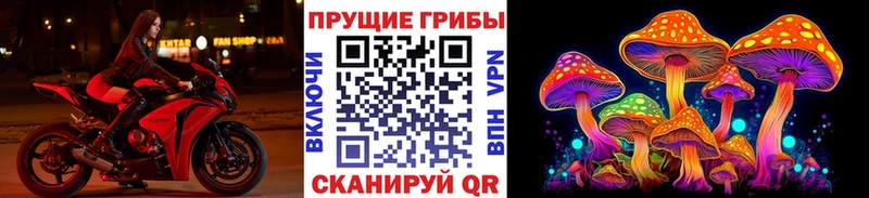 закладки  darknet наркотические препараты  Псилоцибиновые грибы мухоморы  Няндома 