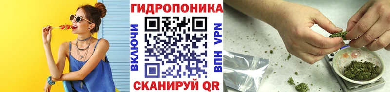 Канабис конопля  Няндома 